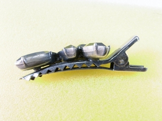 RIMG0081.JPGサイズ変更後.JPG