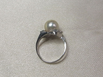 3RIMG2909-43.jpg