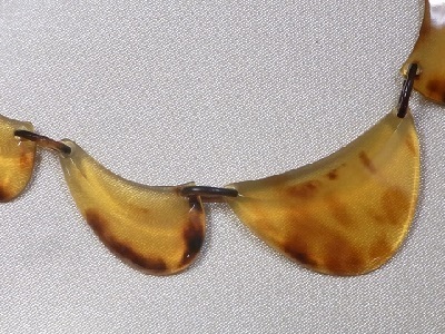 RIMG3292-44.jpg