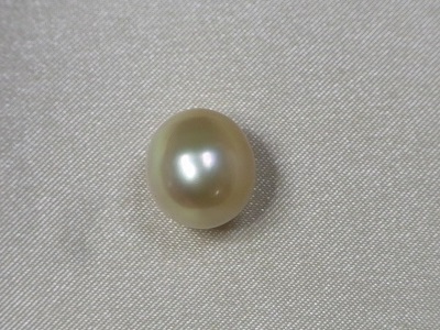 RIMG3482-14.jpg