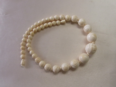 RIMG3565-41.jpg