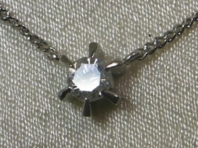 RIMG4126-421.jpg