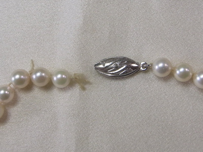 RIMG4708-41.jpg