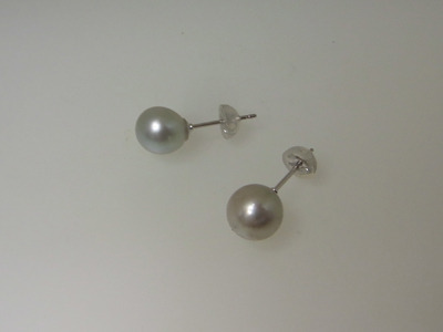 pRIMG5463-42.jpg